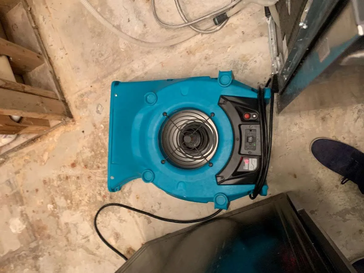 Air mover drying equipment for Mold Remediation & Removal in Kihei